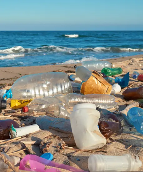 waste in beach